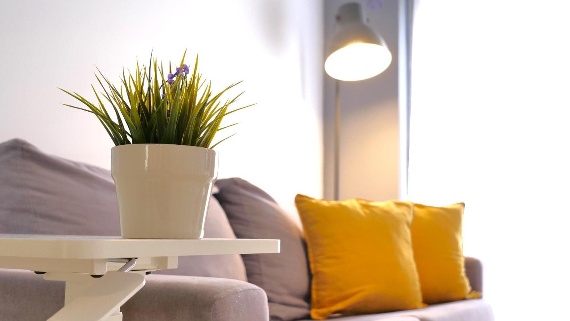 Myflats Old Corner Διαμέρισμα Αλικάντε Εξωτερικό φωτογραφία